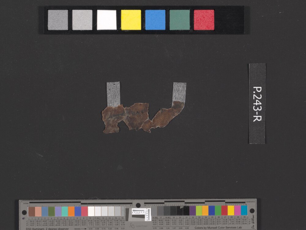 4QDeuteronomy c (4QDeutᶜ) showing Deuteronomy 13:16 from Mid- to Late 2nd Century BC found in Qumran, Cave 4, currently housed at Rockefeller Museum, Jerusalem