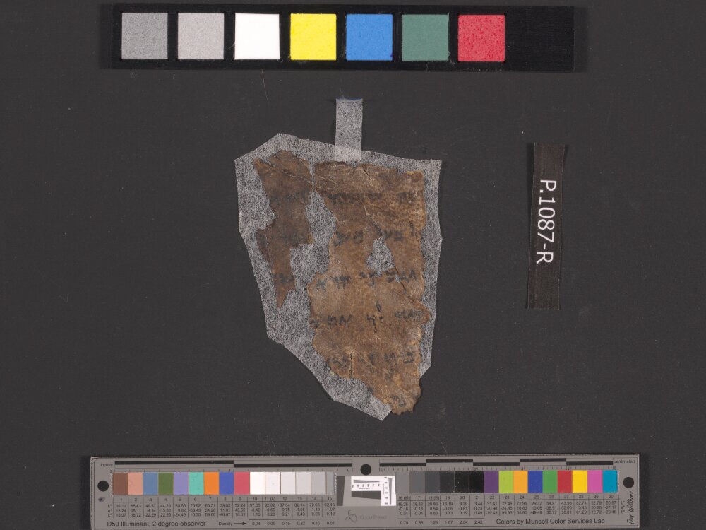 4QDeuteronomy c (4QDeutᶜ) (Scan 2) showing Deuteronomy 15:18 from Mid- to Late 2nd Century BC found in Qumran, Cave 4, currently housed at Rockefeller Museum, Jerusalem