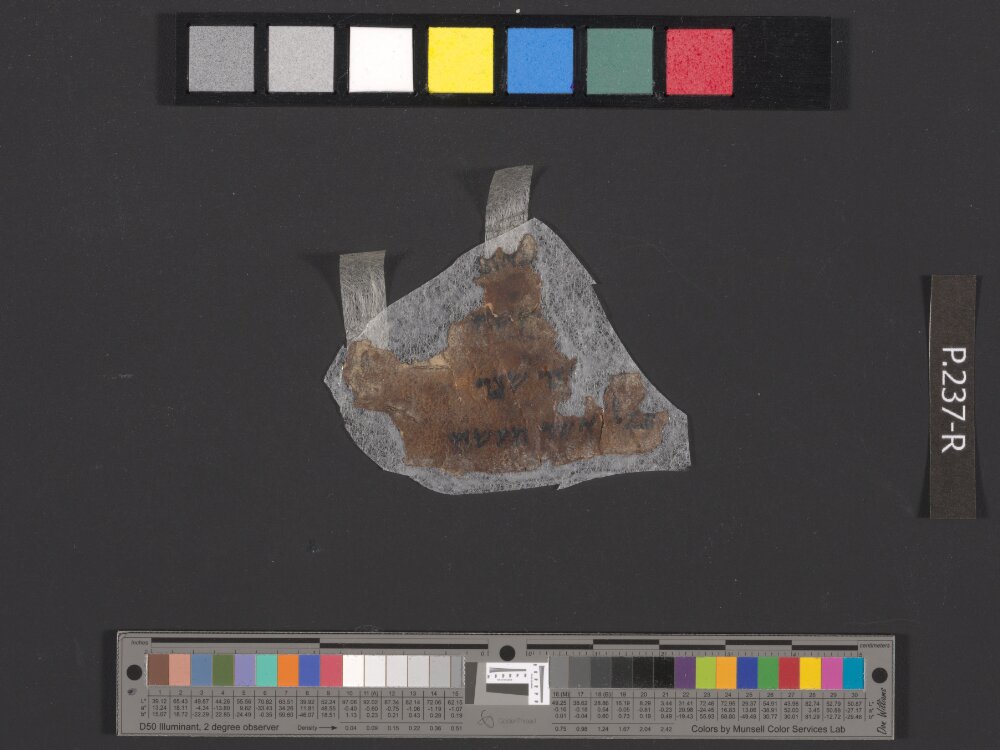 4QDeuteronomy c (4QDeutᶜ) (Scan 1) showing Deuteronomy 16:2 from Mid- to Late 2nd Century BC found in Qumran, Cave 4, currently housed at Rockefeller Museum, Jerusalem