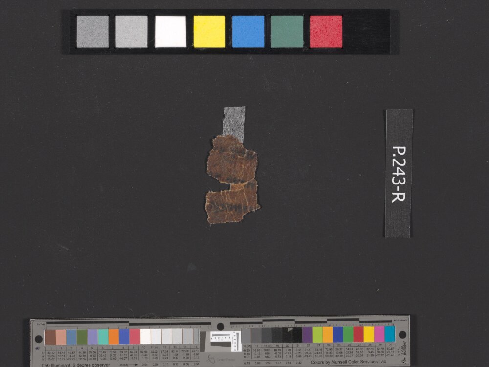 4QDeuteronomy c (4QDeutᶜ) (Scan 1) showing Deuteronomy 4:13 from Mid- to Late 2nd Century BC found in Qumran, Cave 4, currently housed at Rockefeller Museum, Jerusalem