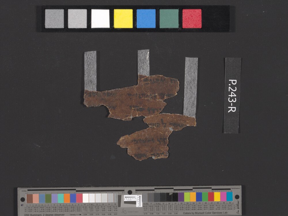 4QDeuteronomy c (4QDeutᶜ) (Scan 2) showing Deuteronomy 4:13 from Mid- to Late 2nd Century BC found in Qumran, Cave 4, currently housed at Rockefeller Museum, Jerusalem