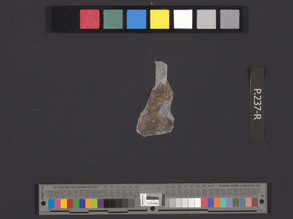 4QDeuteronomy c (4QDeutᶜ) (Scan 1) showing Deuteronomy 16:21 from Mid- to Late 2nd Century BC found in Qumran, Cave 4, currently housed at Rockefeller Museum, Jerusalem
