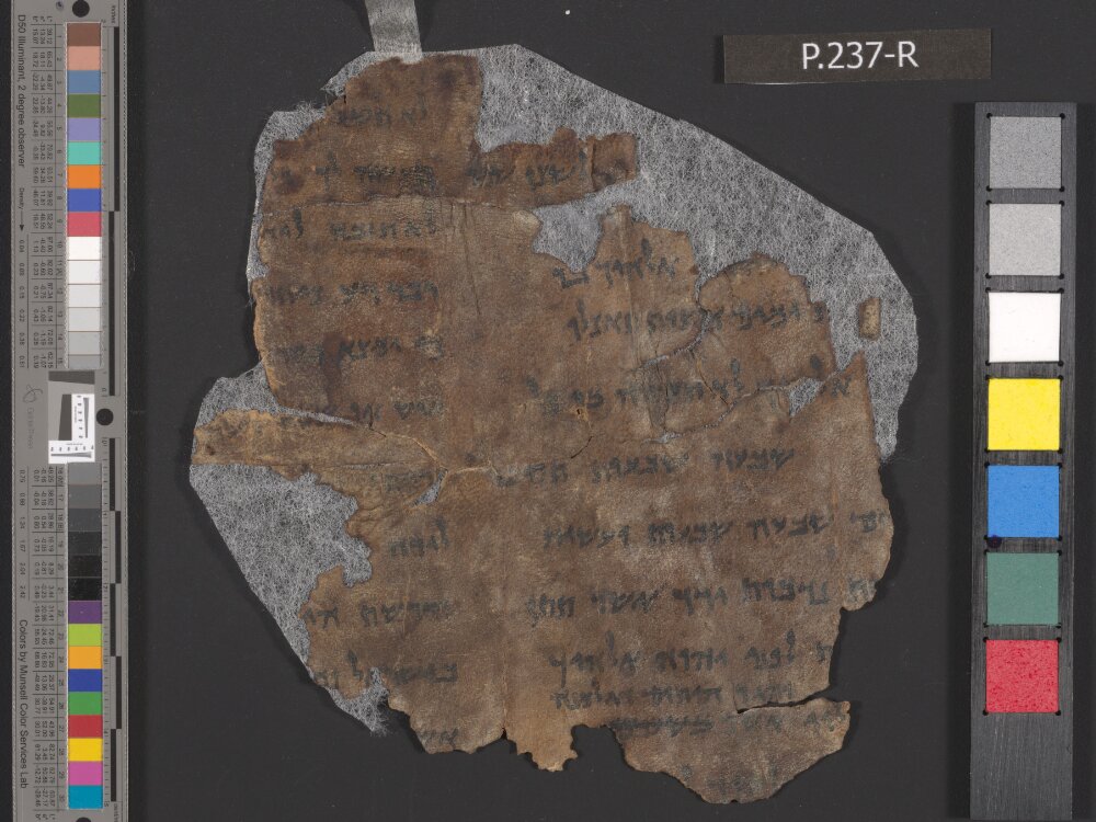 4QDeuteronomy c (4QDeutᶜ) (Scan 2) showing Deuteronomy 16:21 from Mid- to Late 2nd Century BC found in Qumran, Cave 4, currently housed at Rockefeller Museum, Jerusalem