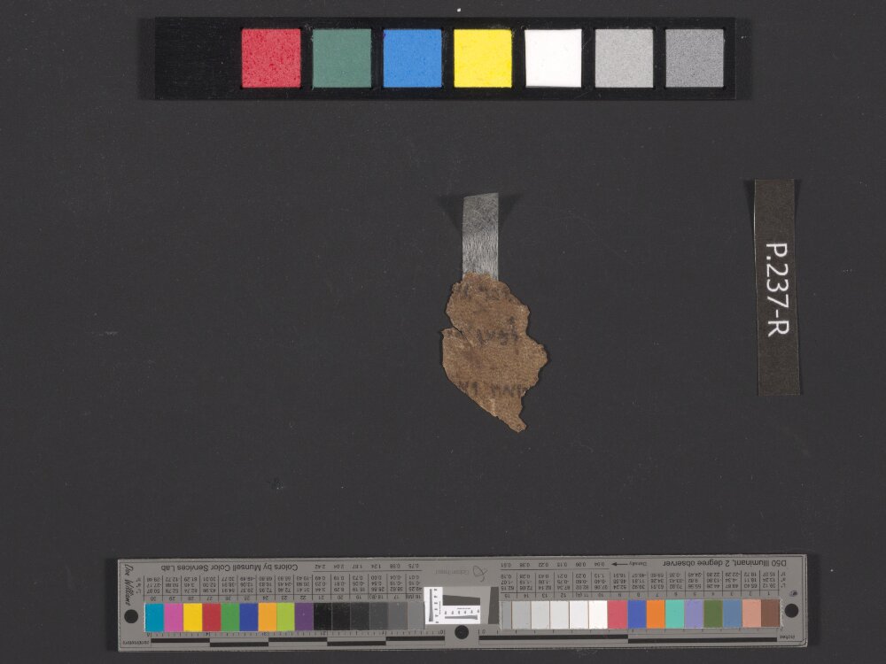 4QDeuteronomy c (4QDeutᶜ) (Scan 2) showing Deuteronomy 28:13 from Mid- to Late 2nd Century BC found in Qumran, Cave 4, currently housed at Rockefeller Museum, Jerusalem