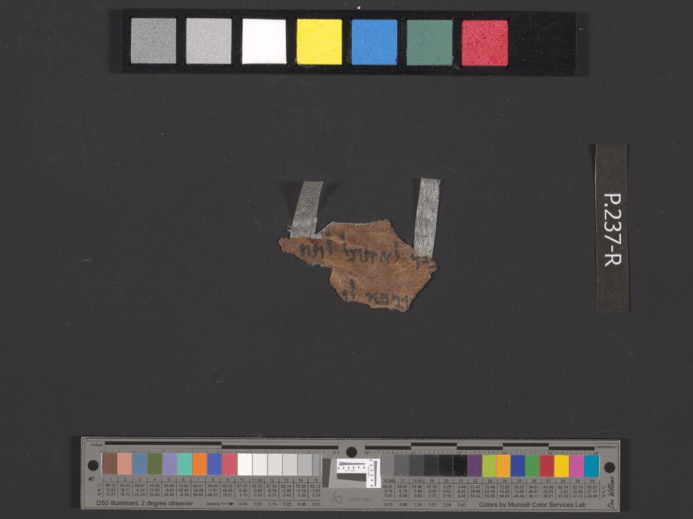 4QDeuteronomy c (4QDeutᶜ) (Scan 5) showing Deuteronomy 28:13 from Mid- to Late 2nd Century BC found in Qumran, Cave 4, currently housed at Rockefeller Museum, Jerusalem