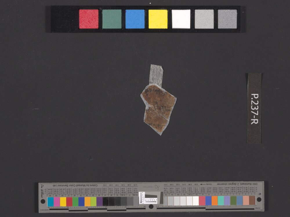 4QDeuteronomy c (4QDeutᶜ) (Scan 7) showing Deuteronomy 28:13 from Mid- to Late 2nd Century BC found in Qumran, Cave 4, currently housed at Rockefeller Museum, Jerusalem