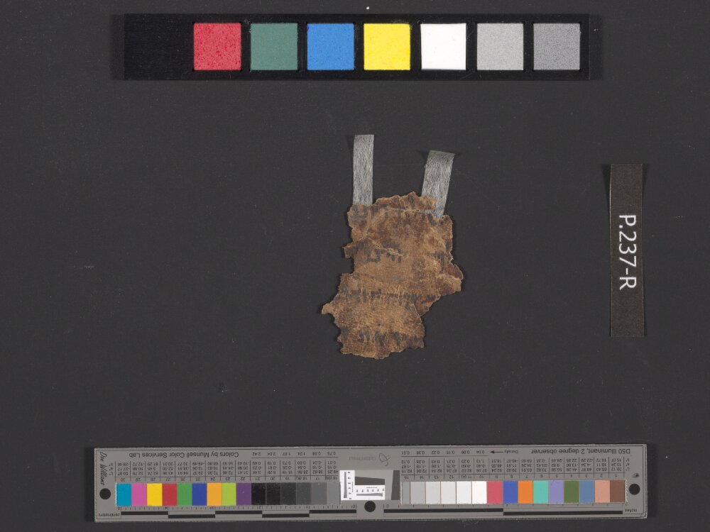4QDeuteronomy c (4QDeutᶜ) showing Deuteronomy 28:18 from Mid- to Late 2nd Century BC found in Qumran, Cave 4, currently housed at Rockefeller Museum, Jerusalem