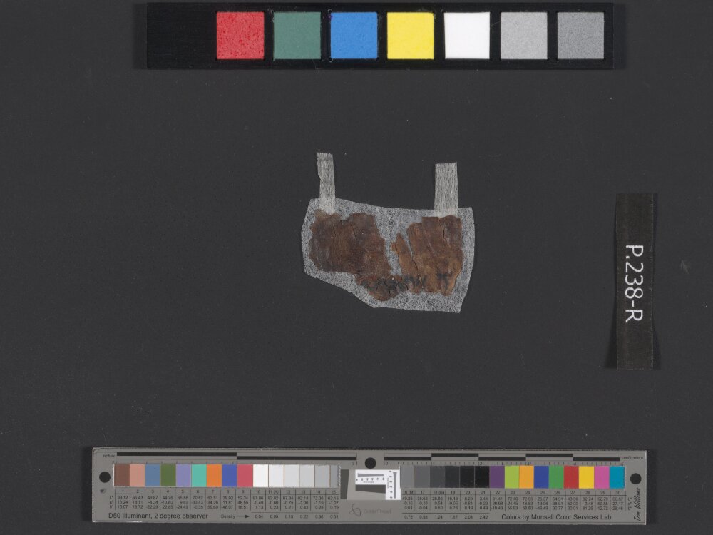 4QDeuteronomy c (4QDeutᶜ) (Scan 1) showing Deuteronomy 28:49 from Mid- to Late 2nd Century BC found in Qumran, Cave 4, currently housed at Rockefeller Museum, Jerusalem