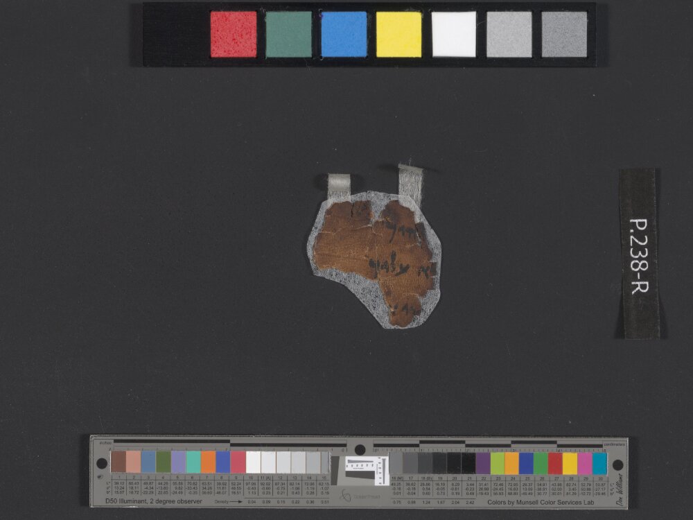 4QDeuteronomy c (4QDeutᶜ) (Scan 2) showing Deuteronomy 28:49 from Mid- to Late 2nd Century BC found in Qumran, Cave 4, currently housed at Rockefeller Museum, Jerusalem