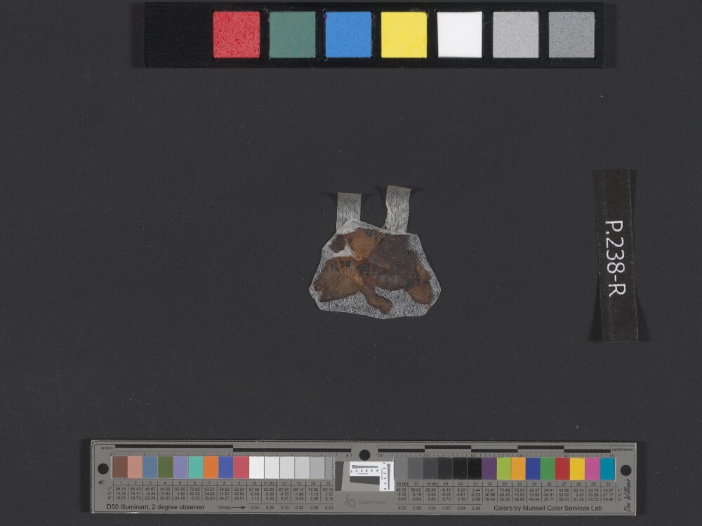 4QDeuteronomy c (4QDeutᶜ) showing Deuteronomy 28:61 from Mid- to Late 2nd Century BC found in Qumran, Cave 4, currently housed at Rockefeller Museum, Jerusalem