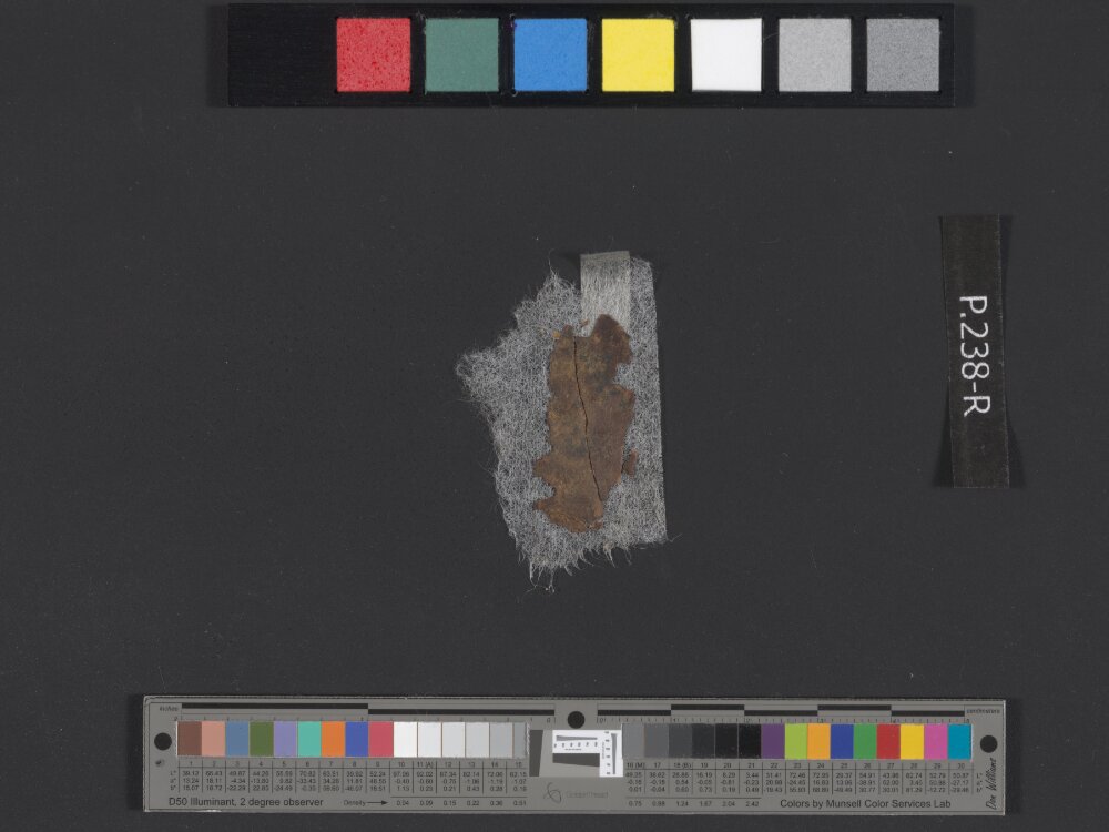 4QDeuteronomy c (4QDeutᶜ) showing Deuteronomy 29:17 from Mid- to Late 2nd Century BC found in Qumran, Cave 4, currently housed at Rockefeller Museum, Jerusalem