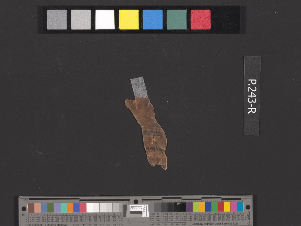 4QDeuteronomy c (4QDeutᶜ) showing Deuteronomy 7:4 from Mid- to Late 2nd Century BC found in Qumran, Cave 4, currently housed at Rockefeller Museum, Jerusalem