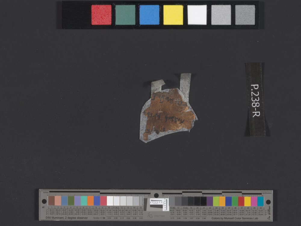 4QDeuteronomy c (4QDeutᶜ) showing Deuteronomy 31:16 from Mid- to Late 2nd Century BC found in Qumran, Cave 4, currently housed at Rockefeller Museum, Jerusalem