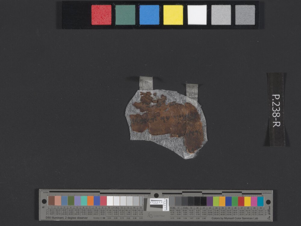 4QDeuteronomy c (4QDeutᶜ) showing Deuteronomy 32:3 from Mid- to Late 2nd Century BC found in Qumran, Cave 4, currently housed at Rockefeller Museum, Jerusalem