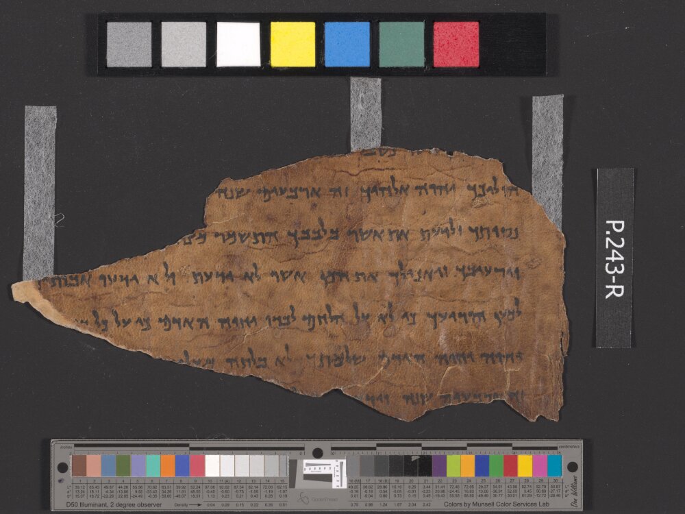4QDeuteronomy c (4QDeutᶜ) showing Deuteronomy 8:2 from Mid- to Late 2nd Century BC found in Qumran, Cave 4, currently housed at Rockefeller Museum, Jerusalem