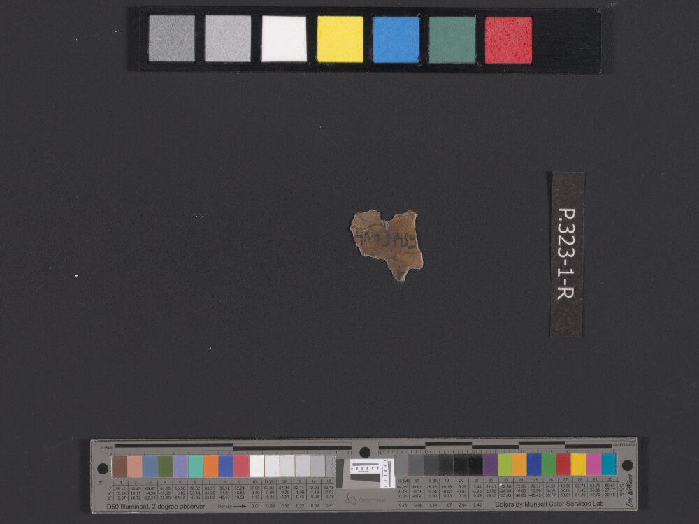 4QDeuteronomy d (4QDeutᵈ) showing Deuteronomy 3:16 from Late 2nd Century BC – Early 1st Century BC found in Qumran, Cave 4, currently housed at Rockefeller Museum, Jerusalem