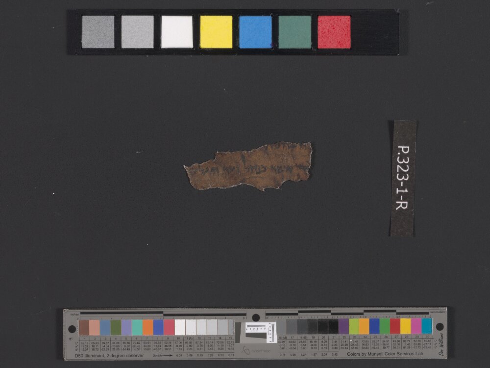 4QDeuteronomy d (4QDeutᵈ) showing Deuteronomy 2:36 from Late 2nd Century BC – Early 1st Century BC found in Qumran, Cave 4, currently housed at Rockefeller Museum, Jerusalem