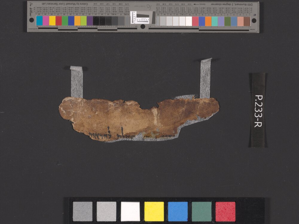 4QDeuteronomy e (4QDeutᵉ) showing Deuteronomy 3:24 from Late 1st Century BC found in Qumran, Cave 4, currently housed at Rockefeller Museum, Jerusalem