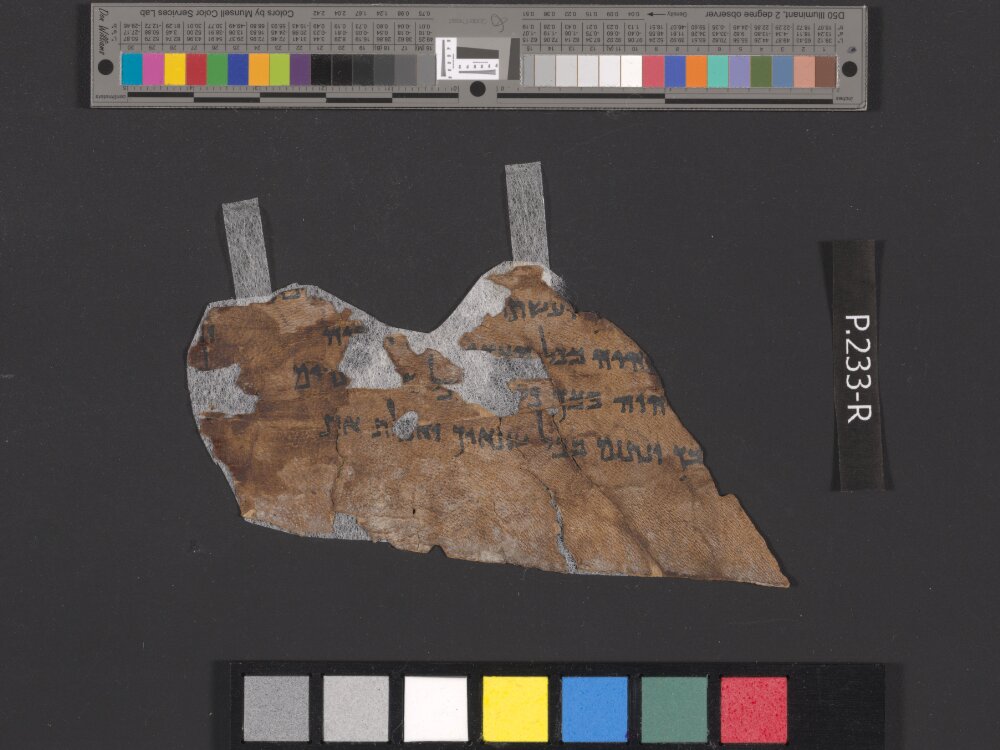 4QDeuteronomy e (4QDeutᵉ) showing Deuteronomy 7:21 from Late 1st Century BC found in Qumran, Cave 4, currently housed at Rockefeller Museum, Jerusalem