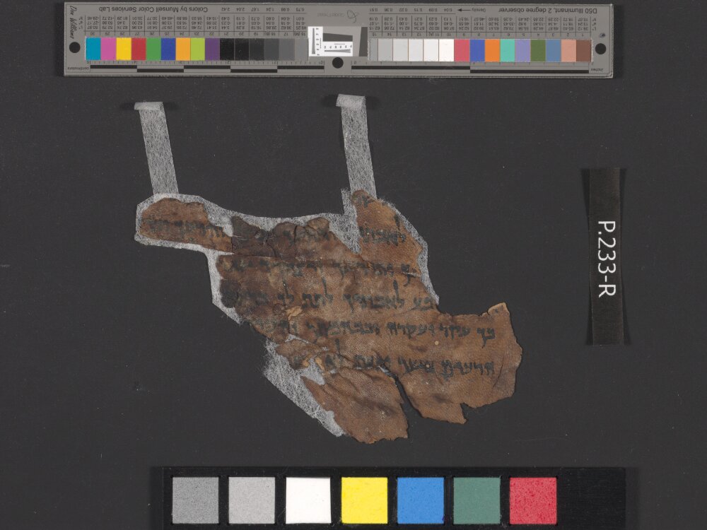 4QDeuteronomy e (4QDeutᵉ) (Scan 2) showing Deuteronomy 7:12 from Late 1st Century BC found in Qumran, Cave 4, currently housed at Rockefeller Museum, Jerusalem