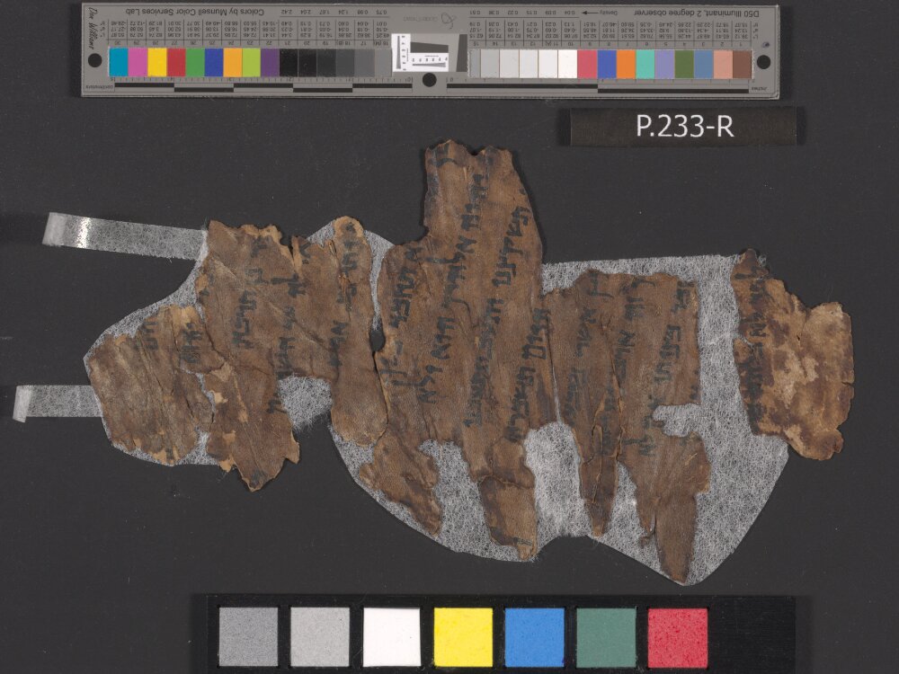 4QDeuteronomy e (4QDeutᵉ) showing Deuteronomy 8:9 from Late 1st Century BC found in Qumran, Cave 4, currently housed at Rockefeller Museum, Jerusalem