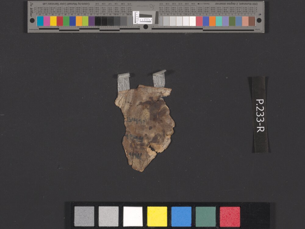 4QDeuteronomy e (4QDeutᵉ) (Scan 3) showing Deuteronomy 8:5 from Late 1st Century BC found in Qumran, Cave 4, currently housed at Rockefeller Museum, Jerusalem