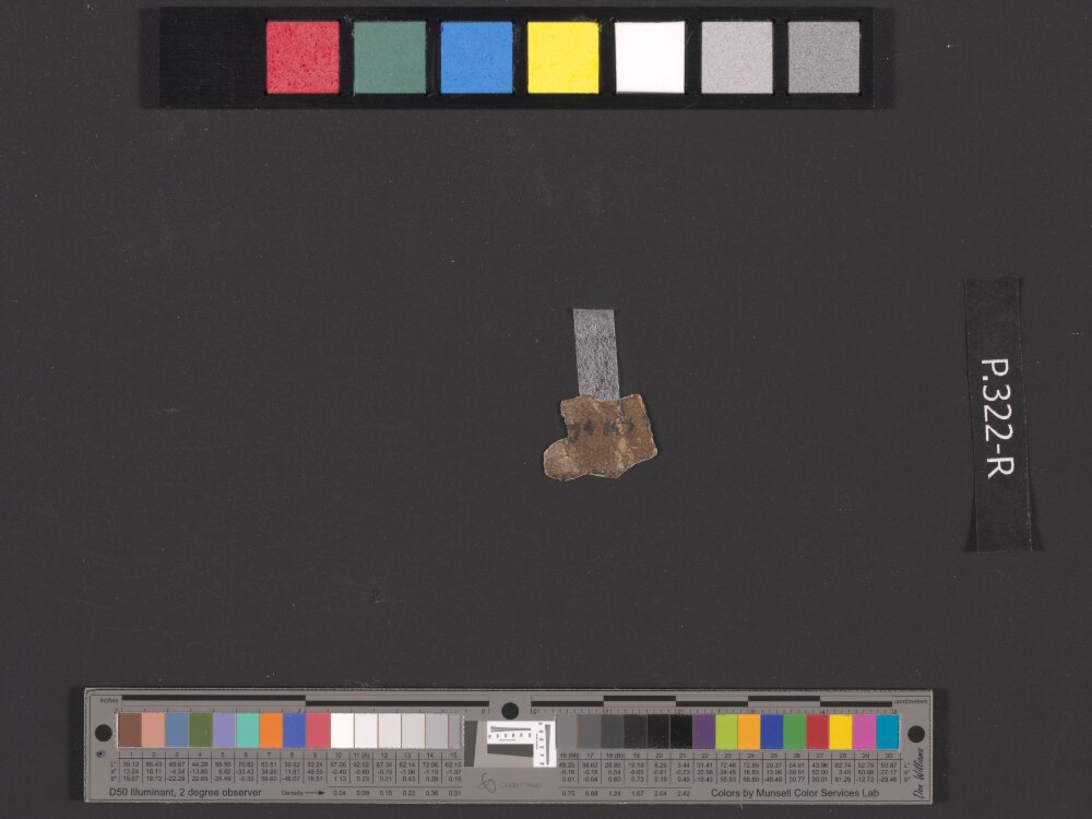 4QDeut(f) showing Deuteronomy 17:18 from 75–50 BC found in Qumran, Cave 4, currently housed at Rockefeller Museum, Jerusalem