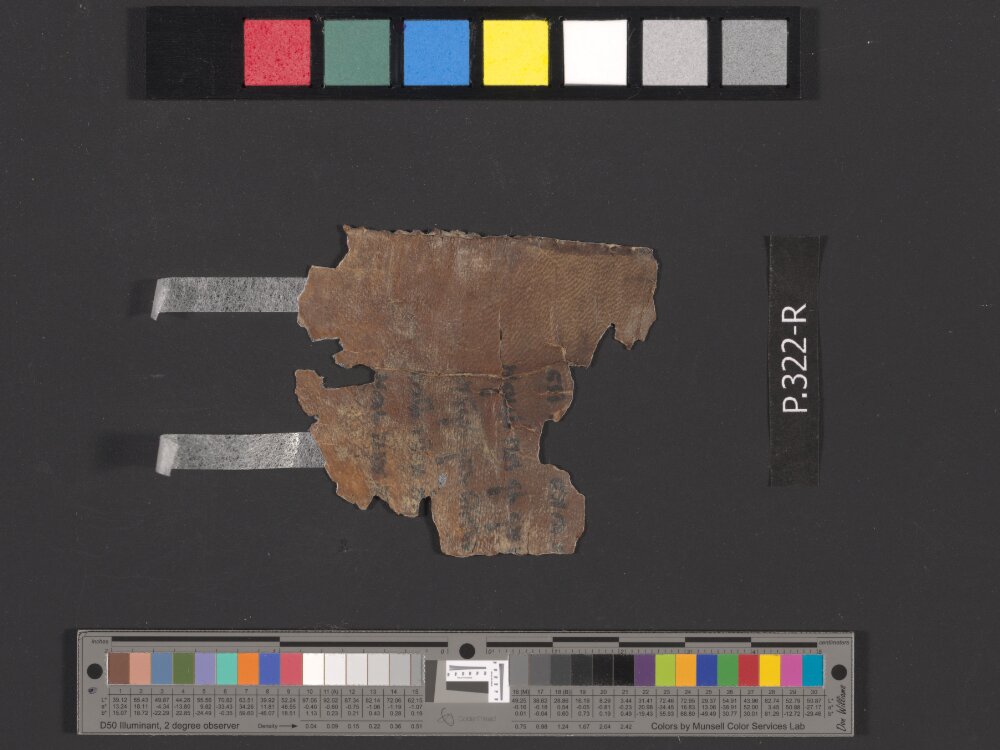 4QDeut(f) showing Deuteronomy 18:7 from 75–50 BC found in Qumran, Cave 4, currently housed at Rockefeller Museum, Jerusalem