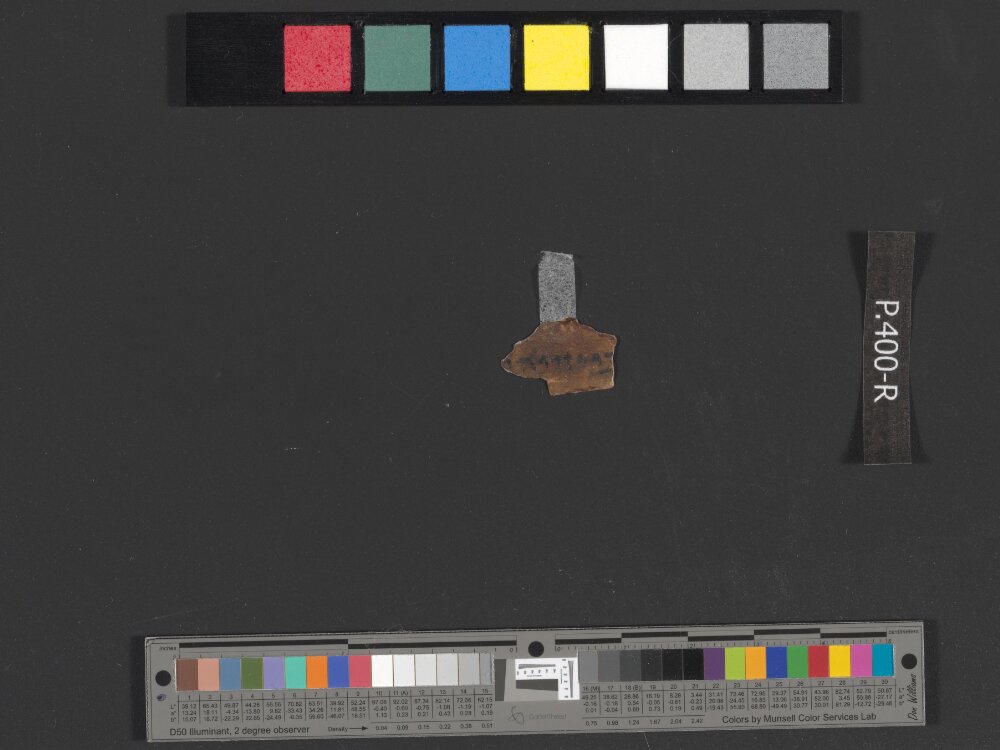 4QDeuteronomy g showing Deuteronomy 25:5 from Early 1st Century AD found in Qumran, Cave 4, currently housed at Rockefeller Museum, Jerusalem