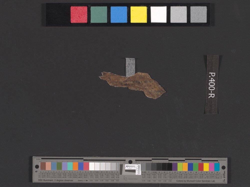 4QDeuteronomy g (Scan 2) showing Deuteronomy 26:2 from Early 1st Century AD found in Qumran, Cave 4, currently housed at Rockefeller Museum, Jerusalem