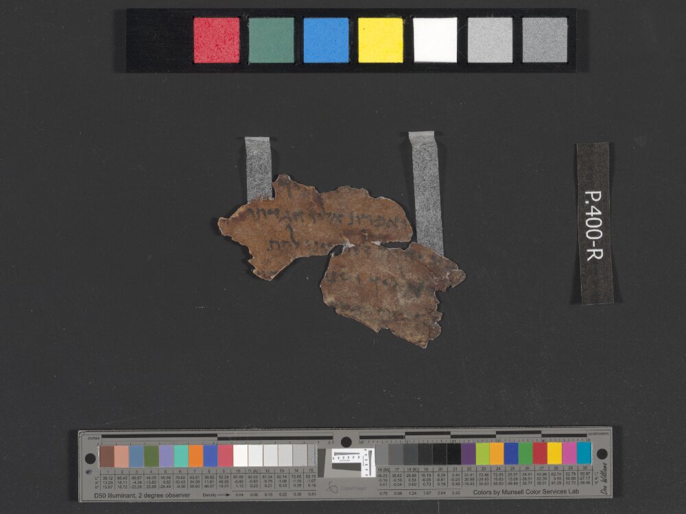 4QDeuteronomy g showing Deuteronomy 26:4 from Early 1st Century AD found in Qumran, Cave 4, currently housed at Rockefeller Museum, Jerusalem