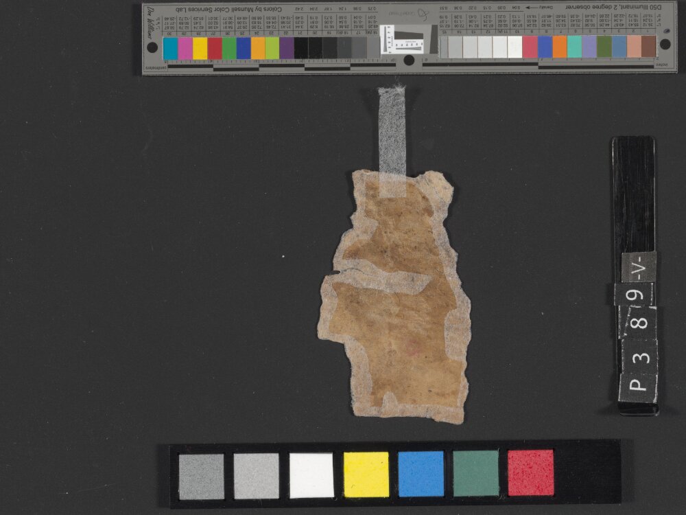 4Q Deuteronomy h (4Q35) showing Deuteronomy 1:41 from Transitional Hasmonean-Herodian (c. 50–1 BC) found in Qumran, Cave 4, currently housed at Rockefeller Museum, Jerusalem