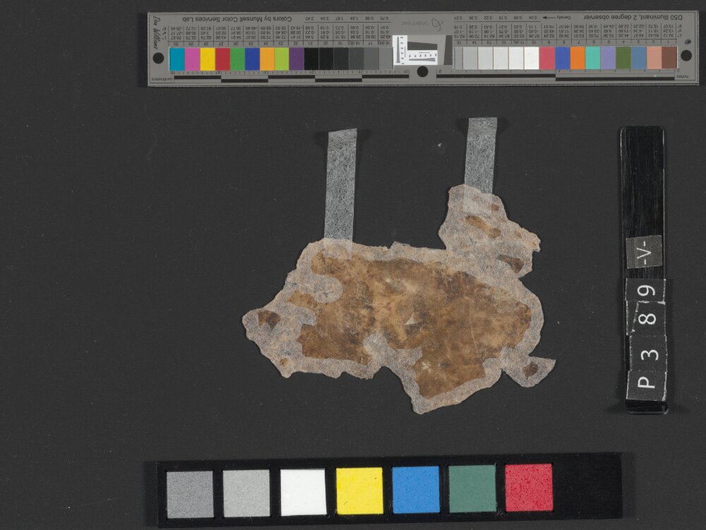 4Q Deuteronomy h (4Q35) (Scan 1) showing Deuteronomy 2:4 from Transitional Hasmonean-Herodian (c. 50–1 BC) found in Qumran, Cave 4, currently housed at Rockefeller Museum, Jerusalem