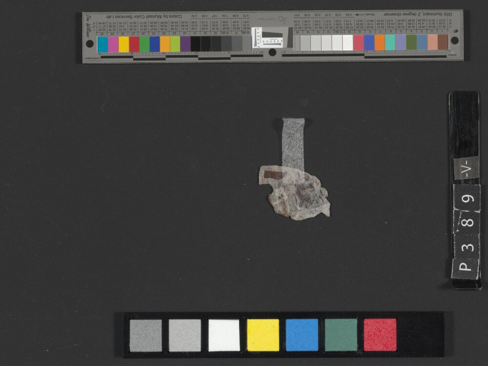 4Q Deuteronomy h (4Q35) (Scan 1) showing Deuteronomy 19:21 from Transitional Hasmonean-Herodian (c. 50–1 BC) found in Qumran, Cave 4, currently housed at Rockefeller Museum, Jerusalem