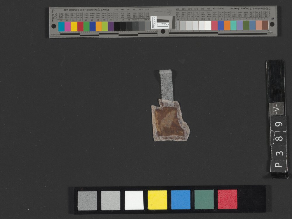 4Q Deuteronomy h (4Q35) showing Deuteronomy 31:9 from Transitional Hasmonean-Herodian (c. 50–1 BC) found in Qumran, Cave 4, currently housed at Rockefeller Museum, Jerusalem