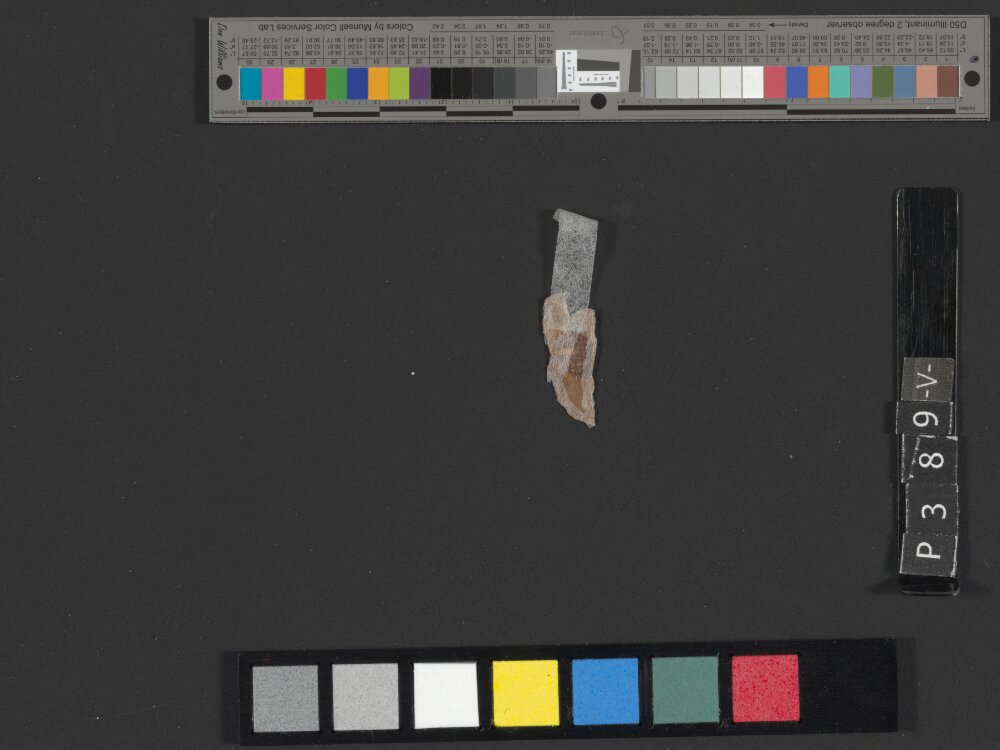 4Q Deuteronomy h (4Q35) (Scan 1) showing Deuteronomy 33:21 from Transitional Hasmonean-Herodian (c. 50–1 BC) found in Qumran, Cave 4, currently housed at Rockefeller Museum, Jerusalem