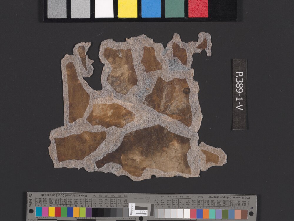 4Q Deuteronomy h (4Q35) (Scan 2) showing Deuteronomy 33:21 from Transitional Hasmonean-Herodian (c. 50–1 BC) found in Qumran, Cave 4, currently housed at Rockefeller Museum, Jerusalem