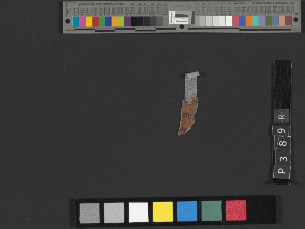 4Q Deuteronomy h (4Q35) (Scan 3) showing Deuteronomy 33:21 from Transitional Hasmonean-Herodian (c. 50–1 BC) found in Qumran, Cave 4, currently housed at Rockefeller Museum, Jerusalem