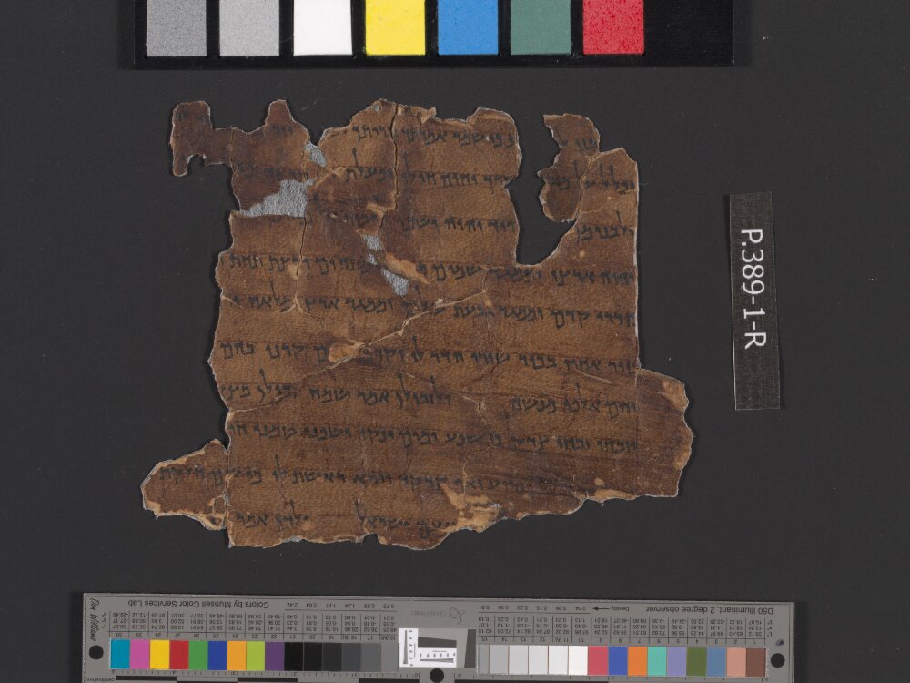 4Q Deuteronomy h (4Q35) (Scan 4) showing Deuteronomy 33:21 from Transitional Hasmonean-Herodian (c. 50–1 BC) found in Qumran, Cave 4, currently housed at Rockefeller Museum, Jerusalem