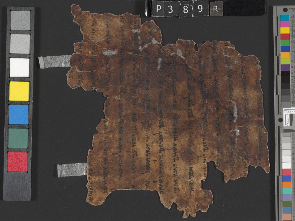 4Q Deuteronomy h (4Q35) (Scan 1) showing Deuteronomy 1:13 from Transitional Hasmonean-Herodian (c. 50–1 BC) found in Qumran, Cave 4, currently housed at Rockefeller Museum, Jerusalem