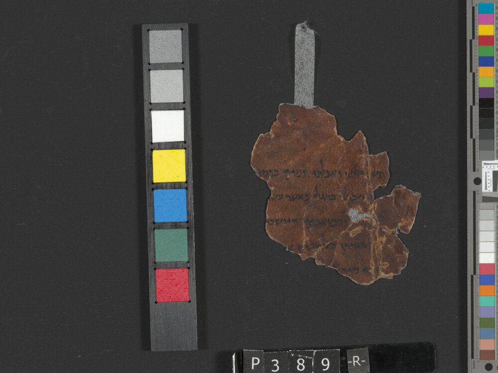 4Q Deuteronomy h (4Q35) (Scan 2) showing Deuteronomy 1:13 from Transitional Hasmonean-Herodian (c. 50–1 BC) found in Qumran, Cave 4, currently housed at Rockefeller Museum, Jerusalem