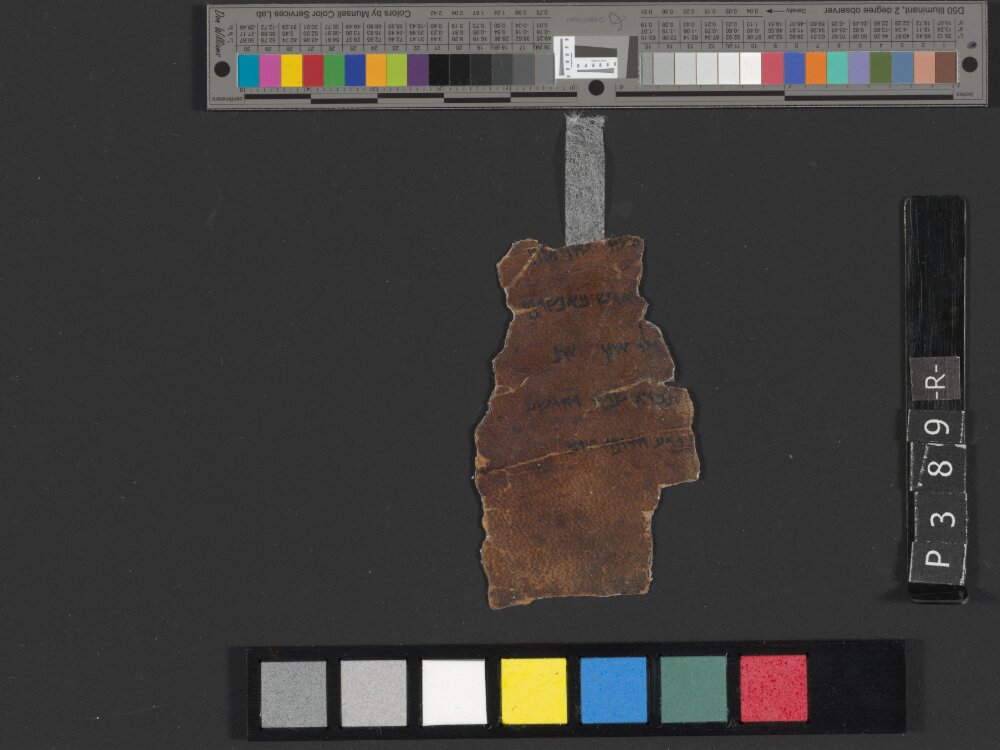 4Q Deuteronomy h (4Q35) showing Deuteronomy 1:23 from Transitional Hasmonean-Herodian (c. 50–1 BC) found in Qumran, Cave 4, currently housed at Rockefeller Museum, Jerusalem