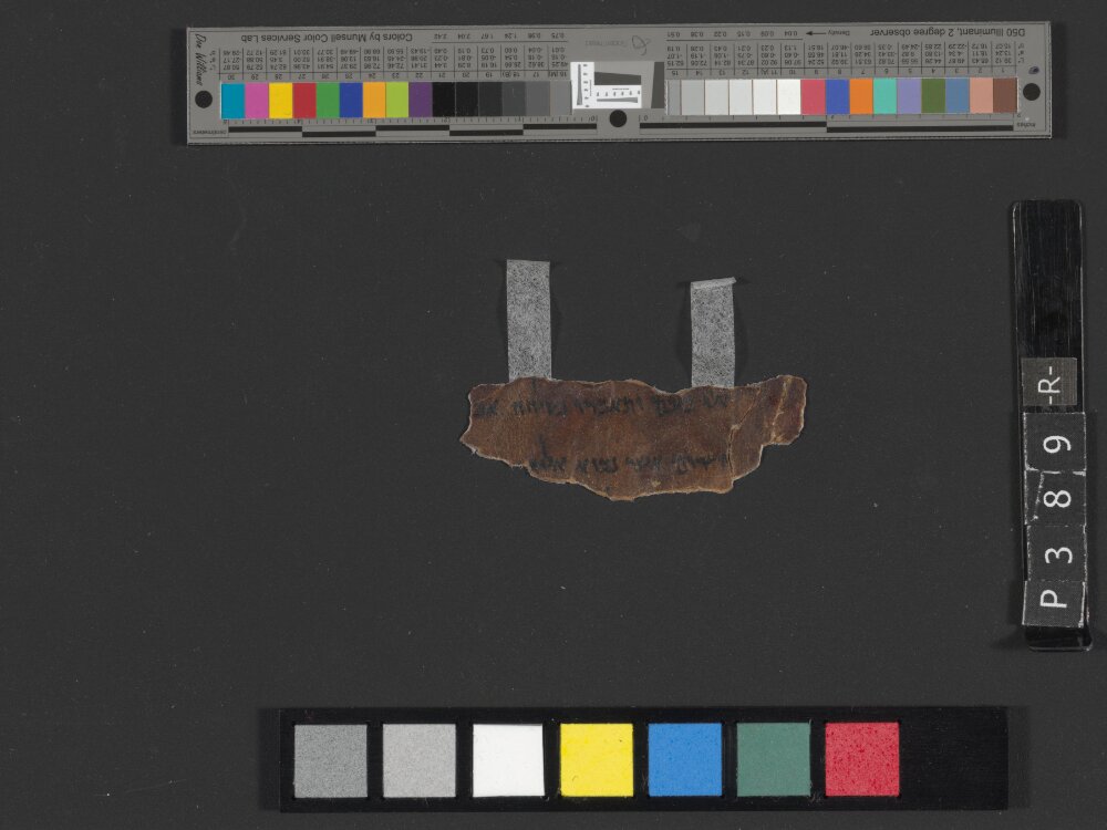 4Q Deuteronomy h (4Q35) showing Deuteronomy 1:35 from Transitional Hasmonean-Herodian (c. 50–1 BC) found in Qumran, Cave 4, currently housed at Rockefeller Museum, Jerusalem