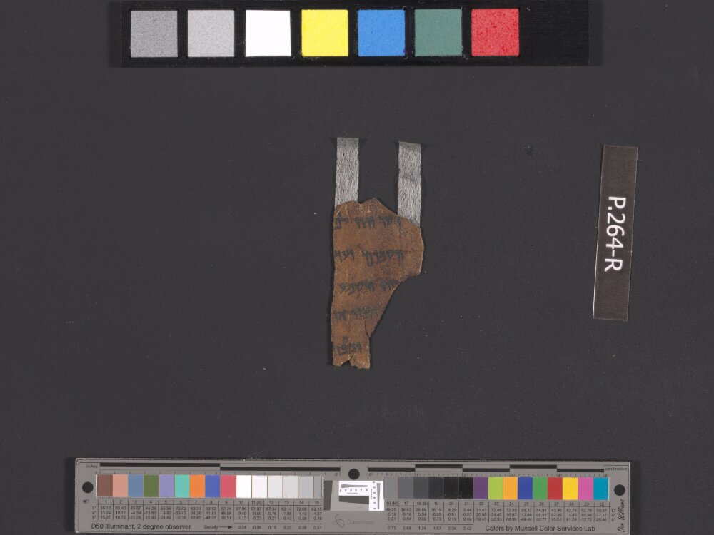4Q Deuteronomy h (4Q35) (Scan 2) showing Deuteronomy 19:21 from Transitional Hasmonean-Herodian (c. 50–1 BC) found in Qumran, Cave 4, currently housed at Rockefeller Museum, Jerusalem