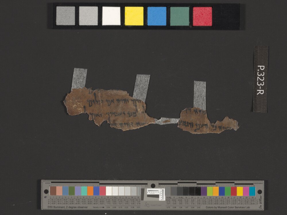 4Q Deuteronomy i showing Deuteronomy 20:9 from Late Hasmonean (c. 100–50 BC) found in Qumran, Cave 4, currently housed at Rockefeller Museum, Jerusalem