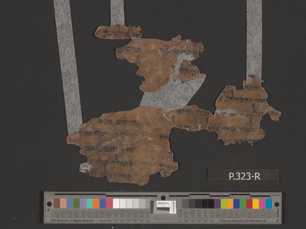 4Q Deuteronomy i showing Deuteronomy 21:23 from Late Hasmonean (c. 100–50 BC) found in Qumran, Cave 4, currently housed at Rockefeller Museum, Jerusalem