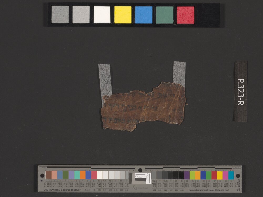 4Q Deuteronomy i showing Deuteronomy 23:25 from Late Hasmonean (c. 100–50 BC) found in Qumran, Cave 4, currently housed at Rockefeller Museum, Jerusalem
