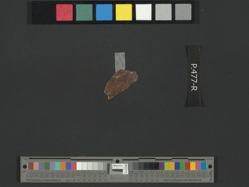 4Q Reworked Pentateuch b (Scan 2) showing Exodus 21:19 from c. 75–50 BC found in Qumran, Cave 4, currently housed at Rockefeller Museum, Jerusalem