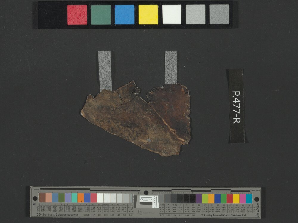 4Q Reworked Pentateuch b (Scan 1) showing Exodus 24:13 from c. 75–50 BC found in Qumran, Cave 4, currently housed at Rockefeller Museum, Jerusalem
