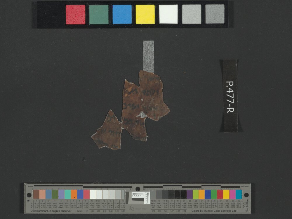 4Q Reworked Pentateuch b showing Numbers 14:20 from c. 75–50 BC found in Qumran, Cave 4, currently housed at Rockefeller Museum, Jerusalem